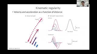 Human motor control lecture Dr. Lei Zhang