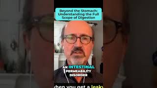 Beyond the Stomach: Understanding the Full Scope of Digestion