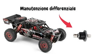 Manutenzione differenziale wltoys 124016 #wltoys #rccar #rc #rcspeedrun