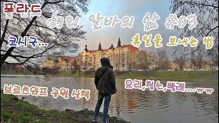 해외 알바의 삶 #03 (휴일을 보내는 법) [폴란드 - 브로츠와프]