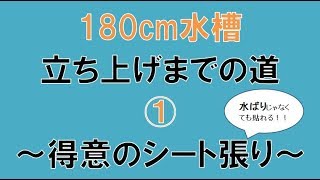 180cm水槽立ち上げまでの道①～得意のシート張り～