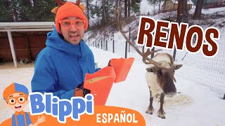 Diversión navideña con renos de Blippi 🎄🦌✨ | Blippi Español | Videos educativos para niños