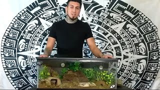 Basic African Fire Skink Tank Setup