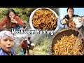 Mushroom Hunting & Eating / Chyau Tipna Jadai / How to Cook Mushroom