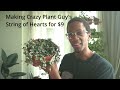 stop picking the wrong pot size for your monstera communityquestions