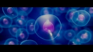 World Stem Cell Sumit LIVE - Day 1 - Dec 6, 2016