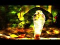 Hardrock - REPTILE (Prod. Maks + Toom) [Slump Audios Exclusive]