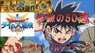 ドラゴンクエスト ダイの大冒険 -魂の絆-　「修練シリーズ宝探し」 50連 （2021年11月）