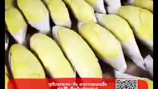 Durian เนื้อทุเรียน! หมอนทอง แกะเปลือก ทุเรียน พร้อมทาน สุก-ห่าม 300 กรัม