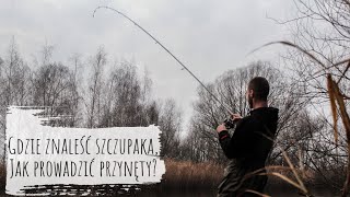 Gdzie szukać szczupaka w wodzie stojącej oraz płynącej? Jak prowadzić przynęty szczupakowe? Odra