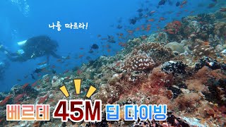 [4K] 베르데 깊은 곳엔 무엇이 있을까 | 딥다이빙 | 베르데 | 필리핀 사방비치 | 씨퀸다이브리조트 | Sabang Beach