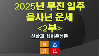 2025년 무진 일주 을사년 운세 2부