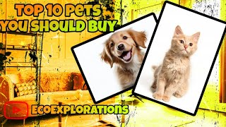 Unveiling the Best 10 Pets for Your Perfect Companion