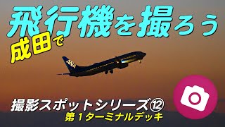 成田空港撮影スポットシリーズ⑫第１ターミナルデッキ