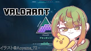 【Valorant】名前変えた！！！！変なの来ないで！！！