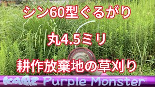 草刈りしよう🇯🇵耕作放棄地の草刈りは楽しい２８　パープルモンスター　シン60型ぐるがり 丸4.5ミリ