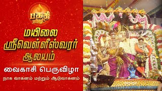 மயிலை அருள்மிகு வெள்ளீசுவரர் திருக்கோவில்|வைகாசி பெருவிழா|நாக வாகனம் மற்றும் ஆடு வாகனம்