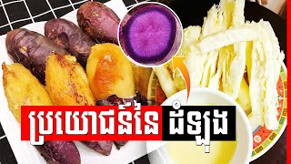 ដំឡូងជាអាហារសុខភាពដែរឬទេ? , Potatoes are a healthy food