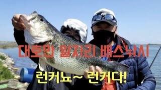 충남당진 대호만 배스낚시 '런커배스 출현'