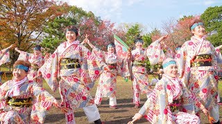 [4K]げんごろう　おどるんや秋まつり2017 二の丸会場