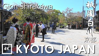 【4K】Kyoto Gion Shirakawa River 2019 - 京都 祇園白川 | Japan walking guide