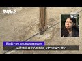 자막뉴스 바나나·망고·천혜향을 제베리아 제천 시베리아 에서 kbs 2025.02.02.