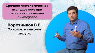 Срочное гистологическое исследование при биопсии сторожевых лимфоузлов