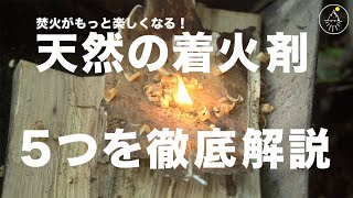 キャンプで使える！天然の焚火着火剤の種類と特徴を徹底分析