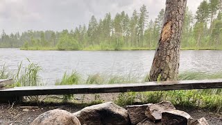 Fishing in Salamajärvi naturalpark in Finland 26.7.22