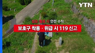 [영상] 추석 성묘·벌초 시 안전 수칙 / YTN