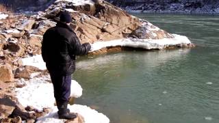 Niagara river rainbow trout