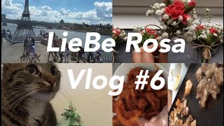 {LieBe Rosa vlog #6}독일유학생 리배로사의 소소한 일상생활영상입니다