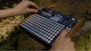 Synthstrom Deluge in the Woods