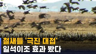 먹이와 잠자리 공급하니…'일석이조' 효과 / SBS