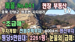 눈물의 급매 평당5만원대 7401㎡ 2261평 투자 개발 강추 펜션부지 특급 조망 전원주택 단지 귀농 귀촌 남한강 주변 충북 단양군 영춘면 사지원리 토지 매매 영춘부동산 단양부동산