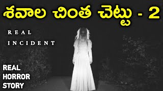 Ghost Tree 2 - Real Horror Story in Telugu | Telugu Stories | Telugu Kathalu | Psbadi | 29/6/2023