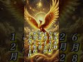 選ばれし金運の持ち主💰金運黄金鳳凰の波動 金運 開運 金運引き寄せ