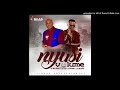 dr malinga ft dj tira dj ngamla u0026 dj mlungu nyusi volume