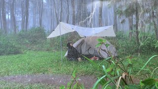 കനത്ത മഴയിലും ഇടിമിന്നലിലും ക്യാമ്പിംഗ് - ഉറങ്ങാൻ കനത്ത മഴ ശബ്ദം - ASMR