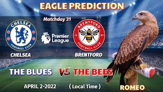 Chelsea vs Brentford Prediction || Premier League 2021/22|| Eagle Prediction