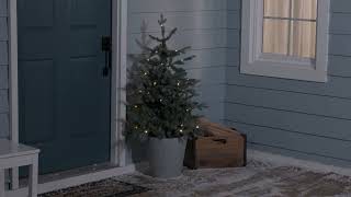 Misty Pine Potted Lit Tree (65M82)