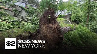 Storms take down trees across Greenwood Lake in Orange County, New York