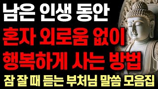 노후에 외로움 없이 혼자 행복한 사람들의 공통점ㅣ행복한 사람들이 고독에 집착하는 이유 | 부처님 말씀 4시간 | 석가모니 I 처세술 I 명언 I 오디오북 I 철학