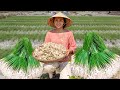 Harvesting ONIONS - Going To The Market To Sell | Cooking & Gardening | Tiểu Phi Daily Life