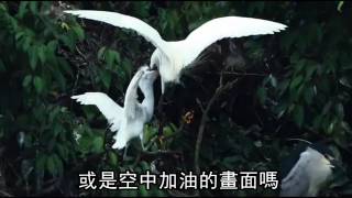 【旅途中】今日我最鳥　來去坪林當攝郎--蘋果日報 20160530