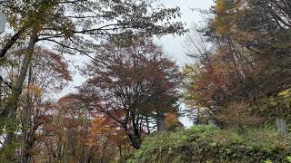 群馬県高崎市　榛名神社〜九折(つづら)岩〜天神峠　2022/11　