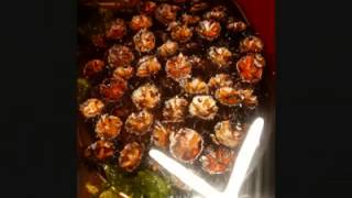 Catering barca FRUTTI DI MARE -  PLANETEMARINE - catania