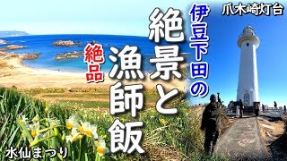 無料駐車場から歩いて10分【伊豆の絶景穴場スポット】爪木崎水仙まつり｜ この時期だけ！絶品漁師飯｜キャンピングカーPuppy480で行く夫婦旅｜