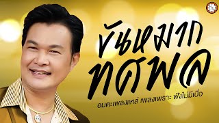 อมตะเพลงแหล่ทศพล ชุด ขันหมากทศพล | เพลงเพราะ ฟังไม่มีเบื่อ #คอยสาวสวนแตง #หัวอกตายาย #ทิดใหม่อ้อนแม่