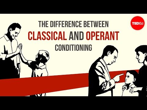 What is the difference between classical conditioning and operant learning?